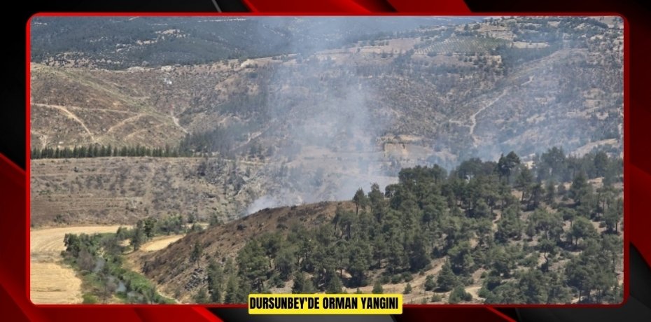 Dursunbey'de orman yangını  