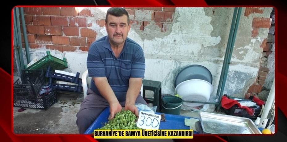Burhaniye’de bamya üreticisine kazandırdı  
