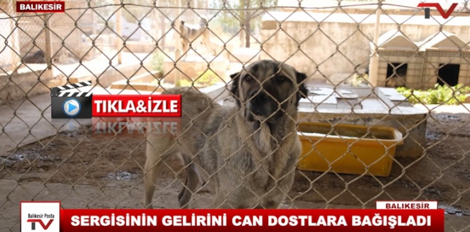 SERGİSİNİN GELİRİNİ CAN DOSTLARA BAĞIŞLADI