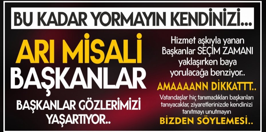 ARI MİSALİ BAŞKANLAR