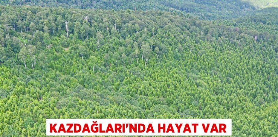 KAZDAĞLARI'NDA HAYAT VAR