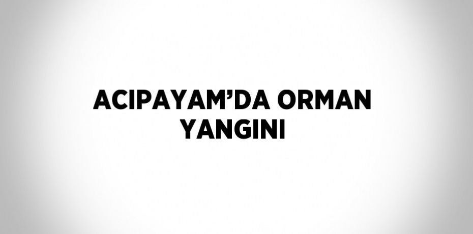 ACIPAYAM’DA ORMAN YANGINI