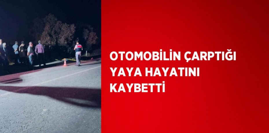 OTOMOBİLİN ÇARPTIĞI YAYA HAYATINI KAYBETTİ