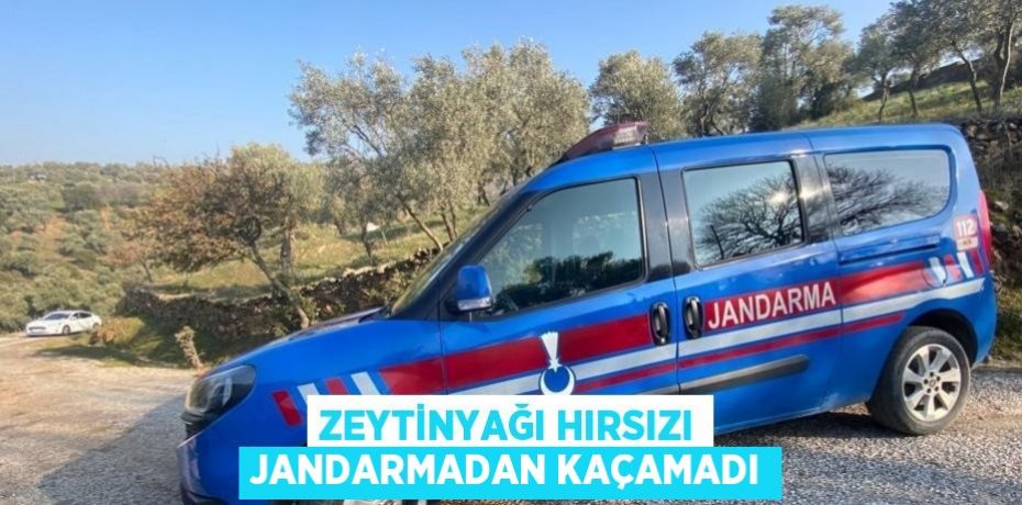 ZEYTİNYAĞI HIRSIZI JANDARMADAN KAÇAMADI