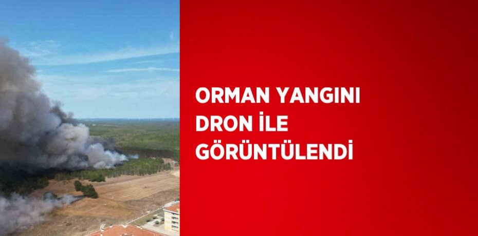 ORMAN YANGINI DRON İLE GÖRÜNTÜLENDİ