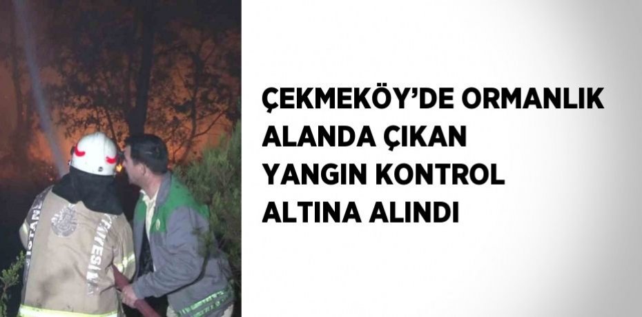 ÇEKMEKÖY’DE ORMANLIK ALANDA ÇIKAN YANGIN KONTROL ALTINA ALINDI