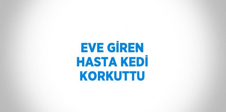 EVE GİREN HASTA KEDİ KORKUTTU