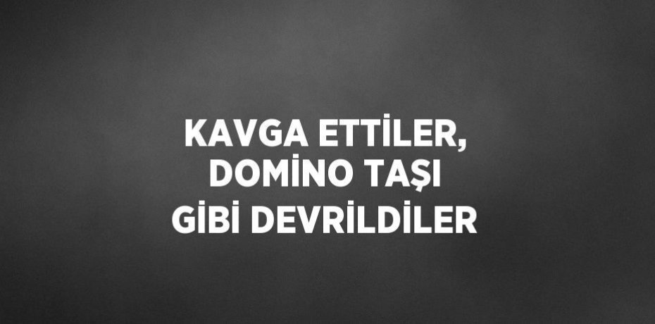 KAVGA ETTİLER, DOMİNO TAŞI GİBİ DEVRİLDİLER