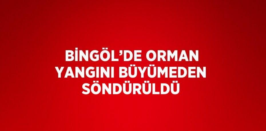 BİNGÖL’DE ORMAN YANGINI BÜYÜMEDEN SÖNDÜRÜLDÜ