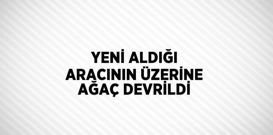 YENİ ALDIĞI ARACININ ÜZERİNE AĞAÇ DEVRİLDİ