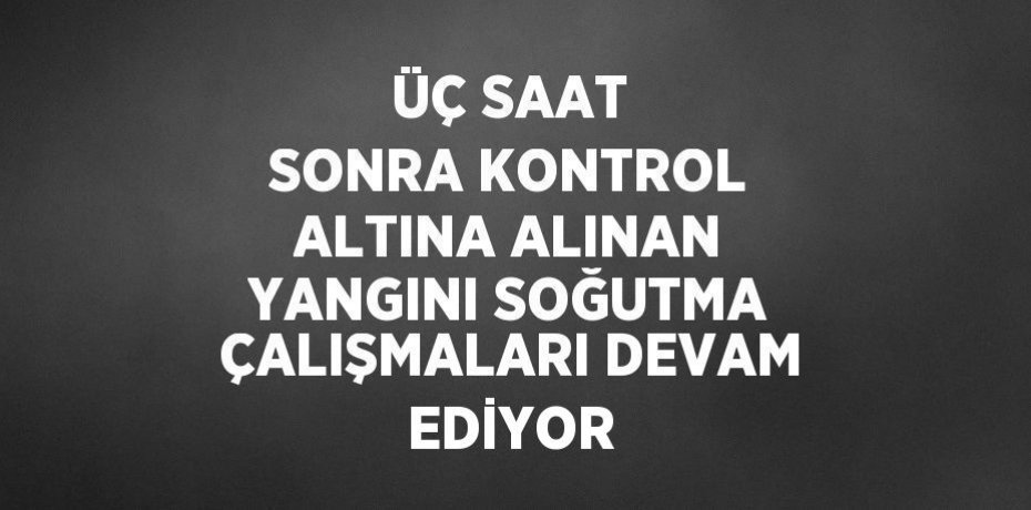 ÜÇ SAAT SONRA KONTROL ALTINA ALINAN YANGINI SOĞUTMA ÇALIŞMALARI DEVAM EDİYOR