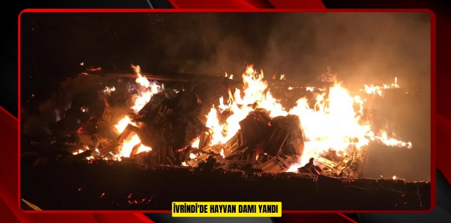 İvrindi'de hayvan damı yandı  
