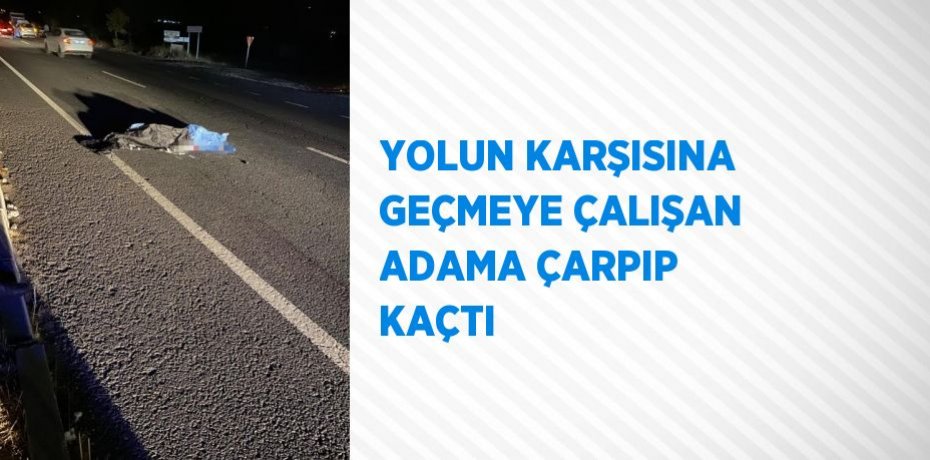 YOLUN KARŞISINA GEÇMEYE ÇALIŞAN ADAMA ÇARPIP KAÇTI