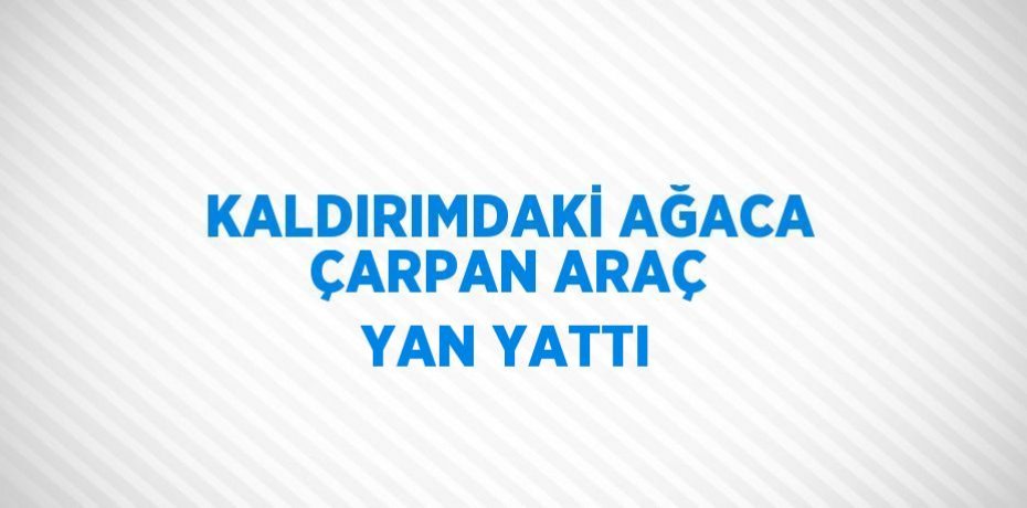 KALDIRIMDAKİ AĞACA ÇARPAN ARAÇ YAN YATTI
