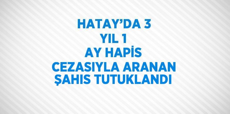 HATAY’DA 3 YIL 1 AY HAPİS CEZASIYLA ARANAN ŞAHIS TUTUKLANDI