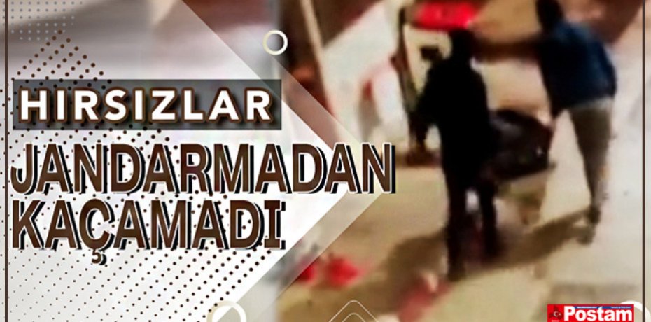 HIRSIZLAR JANDARMADAN KAÇAMADI