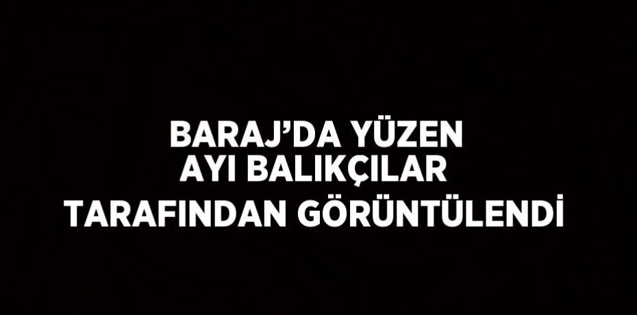 BARAJ’DA YÜZEN AYI BALIKÇILAR TARAFINDAN GÖRÜNTÜLENDİ