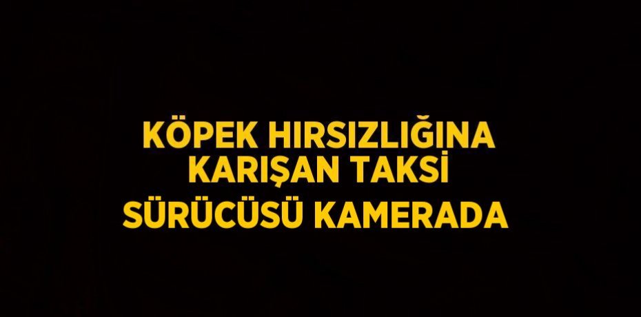 KÖPEK HIRSIZLIĞINA KARIŞAN TAKSİ SÜRÜCÜSÜ KAMERADA