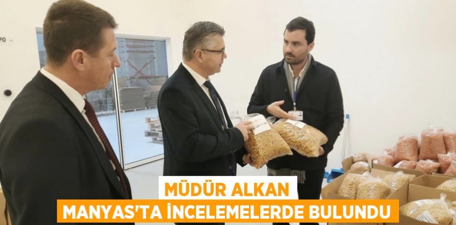 Müdür Alkan Manyas'ta incelemelerde bulundu