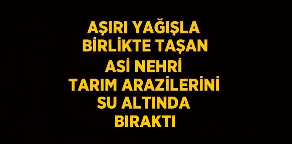 AŞIRI YAĞIŞLA BİRLİKTE TAŞAN ASİ NEHRİ TARIM ARAZİLERİNİ SU ALTINDA BIRAKTI