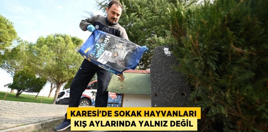 KARESİ'DE SOKAK HAYVANLARI KIŞ AYLARINDA YALNIZ DEĞİL
