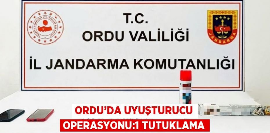 ORDU’DA UYUŞTURUCU OPERASYONU:1 TUTUKLAMA