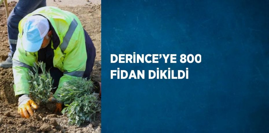DERİNCE’YE 800 FİDAN DİKİLDİ
