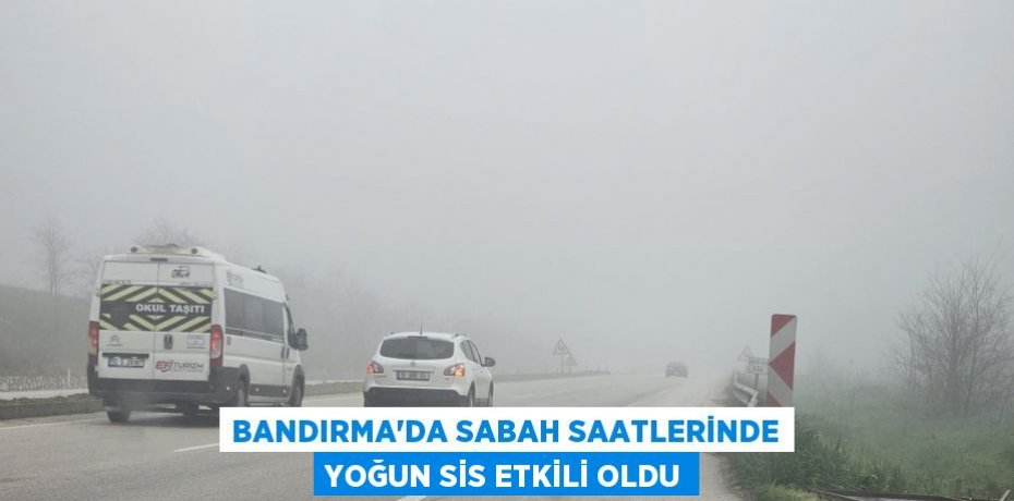 Bandırma'da sabah saatlerinde yoğun sis etkili oldu