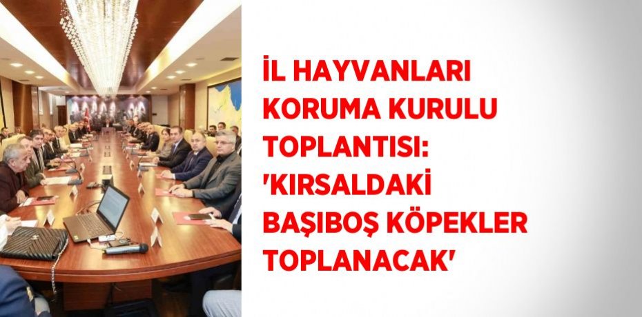 İL HAYVANLARI KORUMA KURULU TOPLANTISI: 'KIRSALDAKİ BAŞIBOŞ KÖPEKLER TOPLANACAK'