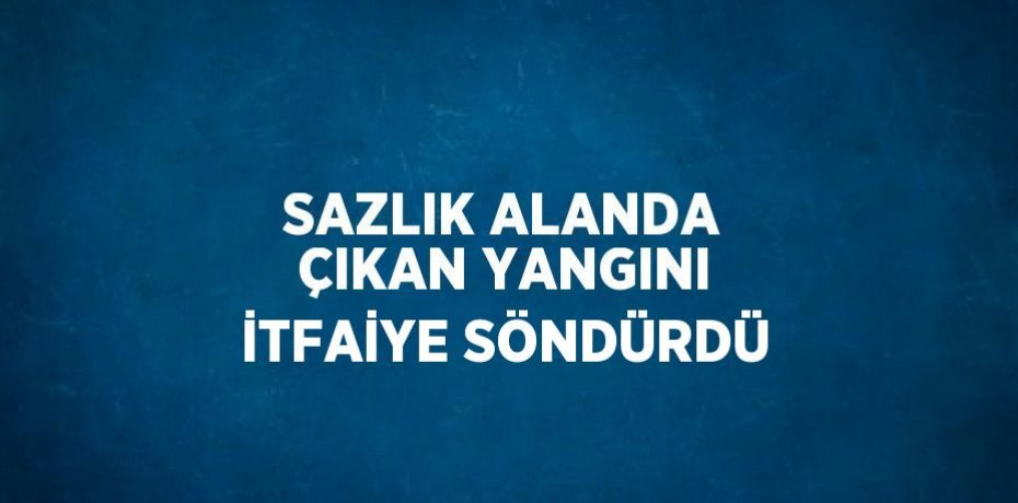 SAZLIK ALANDA ÇIKAN YANGINI İTFAİYE SÖNDÜRDÜ