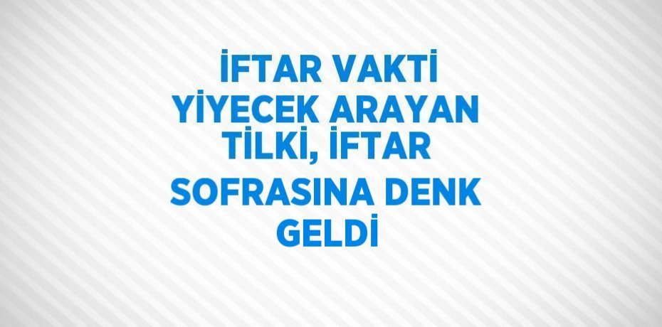 İFTAR VAKTİ YİYECEK ARAYAN TİLKİ, İFTAR SOFRASINA DENK GELDİ