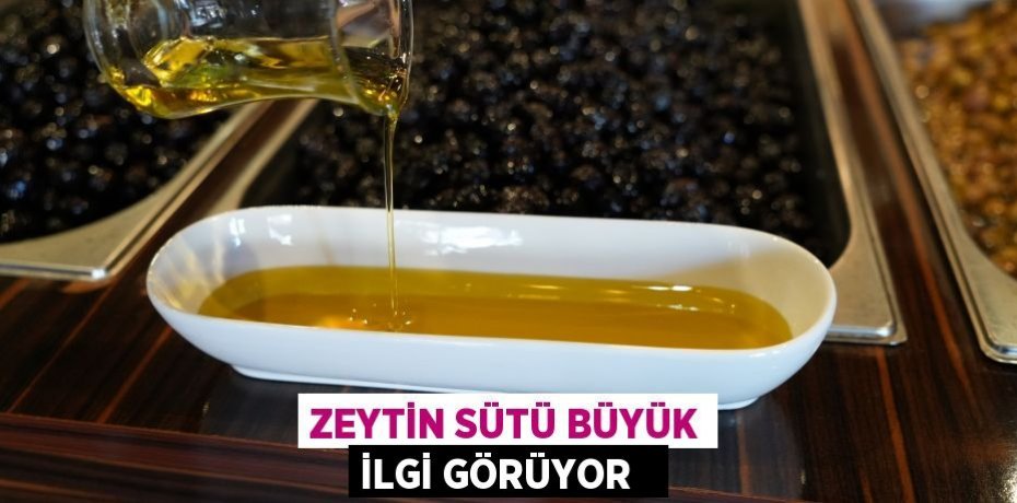 Zeytin Sütü büyük ilgi görüyor  