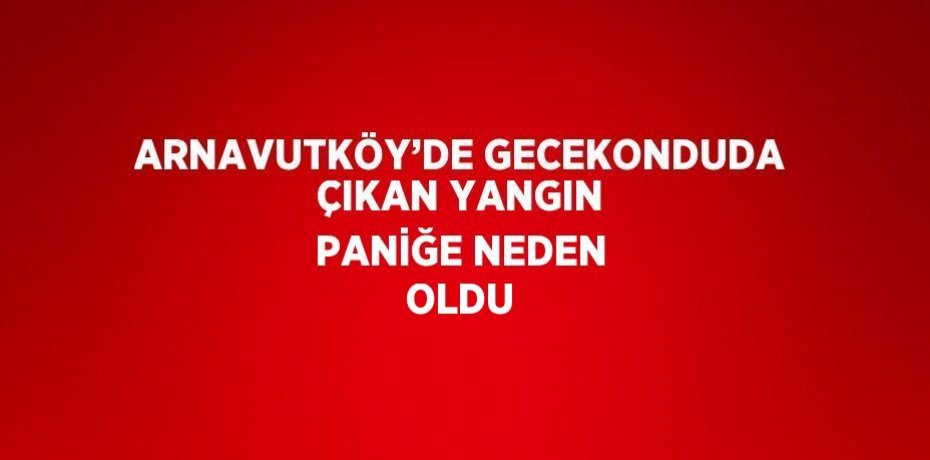 ARNAVUTKÖY’DE GECEKONDUDA ÇIKAN YANGIN PANİĞE NEDEN OLDU
