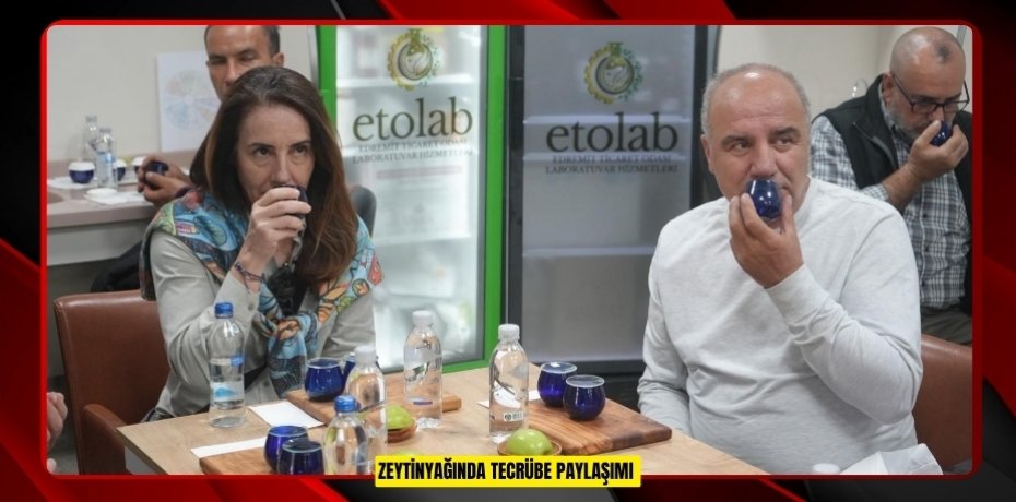 Zeytinyağında tecrübe paylaşımı  