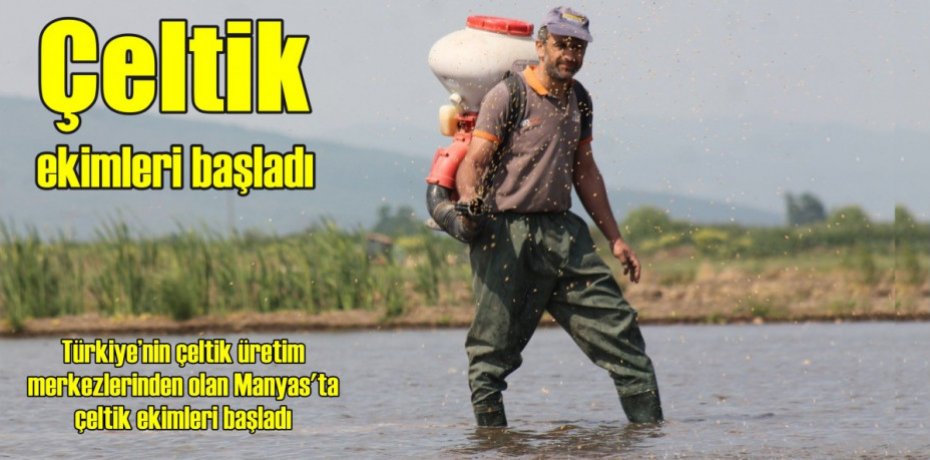 Çeltik ekimleri başladı