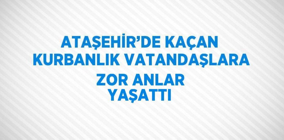 ATAŞEHİR’DE KAÇAN KURBANLIK VATANDAŞLARA ZOR ANLAR YAŞATTI