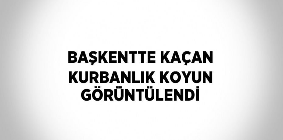 BAŞKENTTE KAÇAN KURBANLIK KOYUN GÖRÜNTÜLENDİ