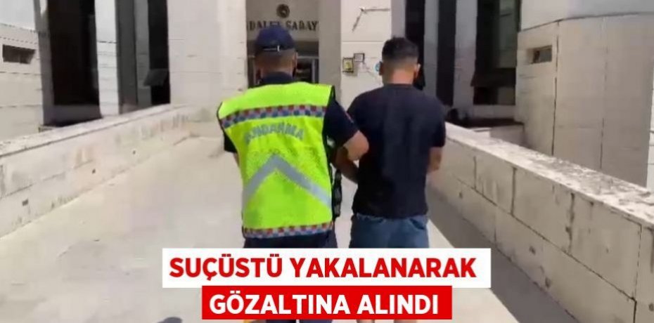 Suçüstü yakalanarak gözaltına alındı