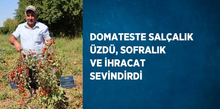 DOMATESTE SALÇALIK ÜZDÜ, SOFRALIK VE İHRACAT SEVİNDİRDİ