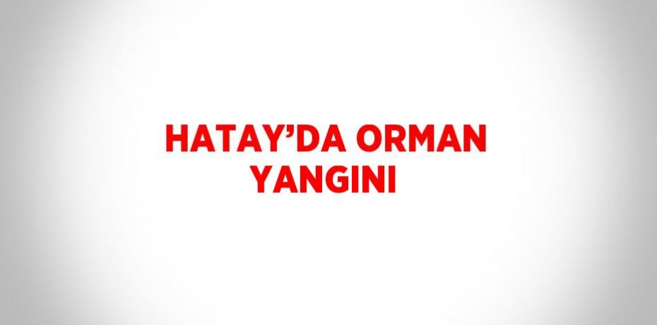 HATAY’DA ORMAN YANGINI