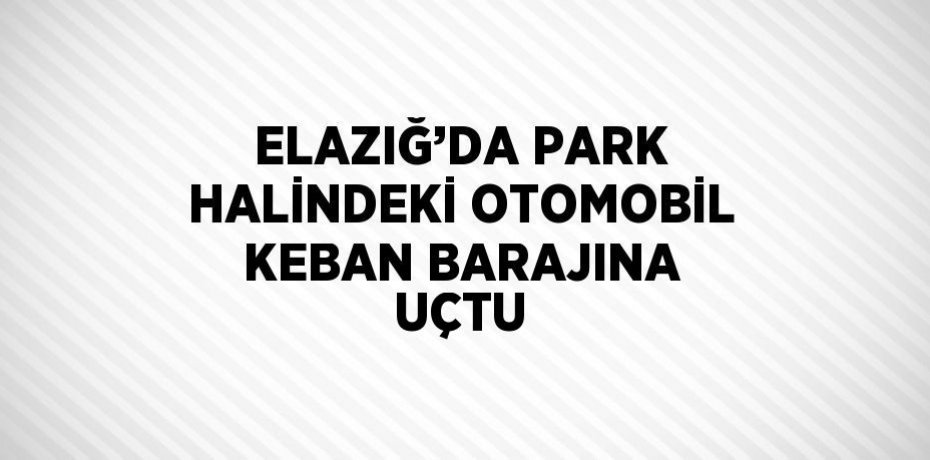 ELAZIĞ’DA PARK HALİNDEKİ OTOMOBİL KEBAN BARAJINA UÇTU