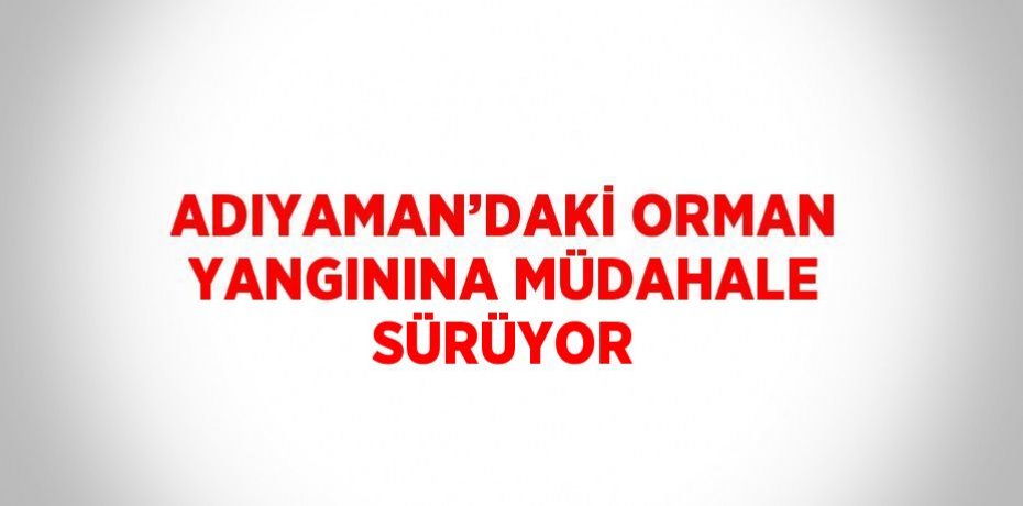 ADIYAMAN’DAKİ ORMAN YANGININA MÜDAHALE SÜRÜYOR