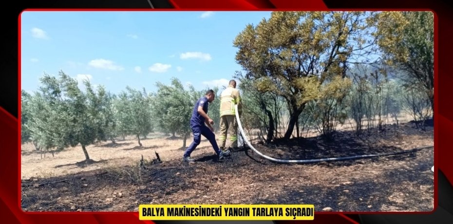 Balya makinesindeki yangın tarlaya sıçradı