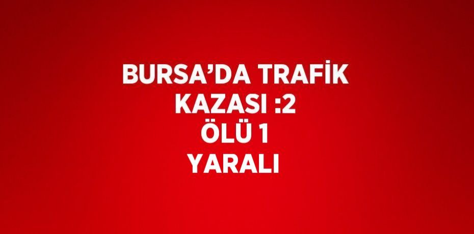 BURSA’DA TRAFİK KAZASI :2 ÖLÜ 1 YARALI