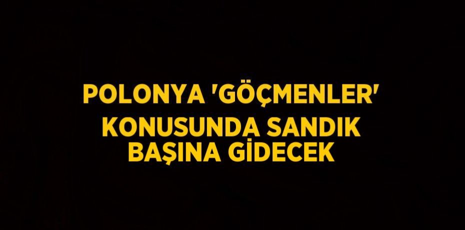 POLONYA 'GÖÇMENLER' KONUSUNDA SANDIK BAŞINA GİDECEK