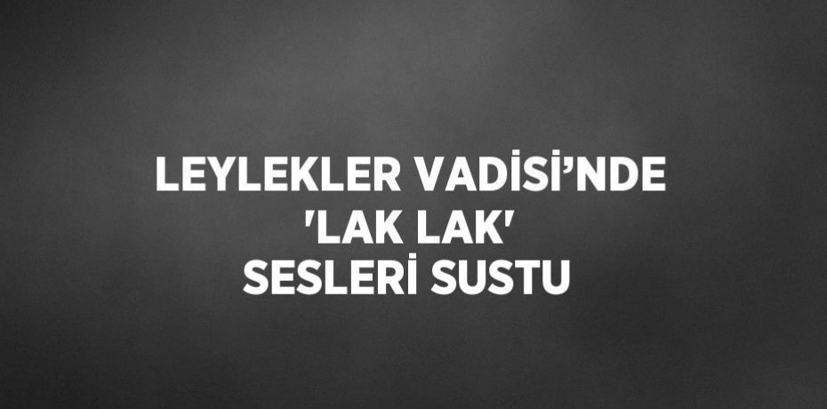 LEYLEKLER VADİSİ’NDE 'LAK LAK' SESLERİ SUSTU