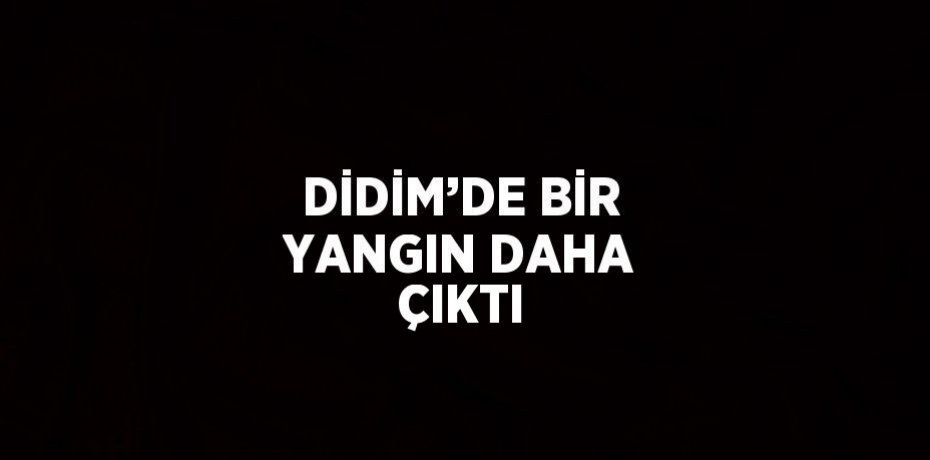 DİDİM’DE BİR YANGIN DAHA ÇIKTI
