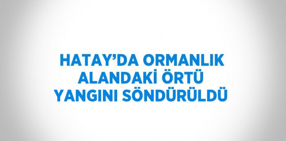 HATAY’DA ORMANLIK ALANDAKİ ÖRTÜ YANGINI SÖNDÜRÜLDÜ
