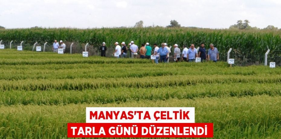 Manyas’ta Çeltik Tarla Günü düzenlendi