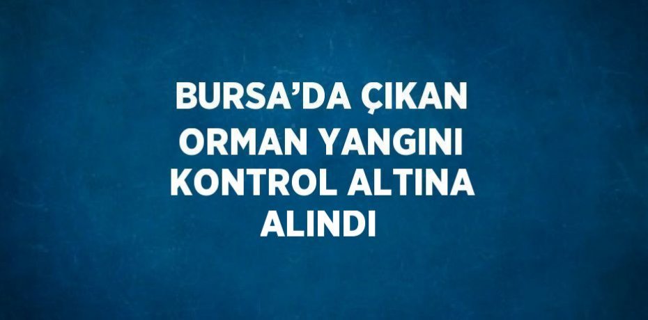 BURSA’DA ÇIKAN ORMAN YANGINI KONTROL ALTINA ALINDI